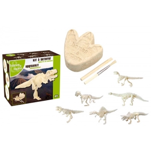 Kit Mini esqueleto de dinosaurio
